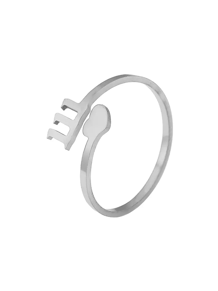 anillos en acero